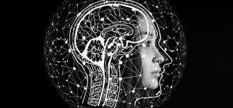 Embodied AI