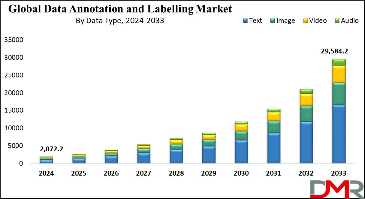 Data Annotation and Labelling Market Growth Analysis