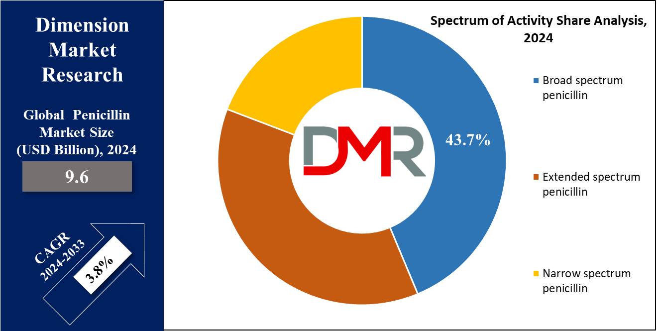 Penicillin Drug Market Spectrum of Activity Share Analysis