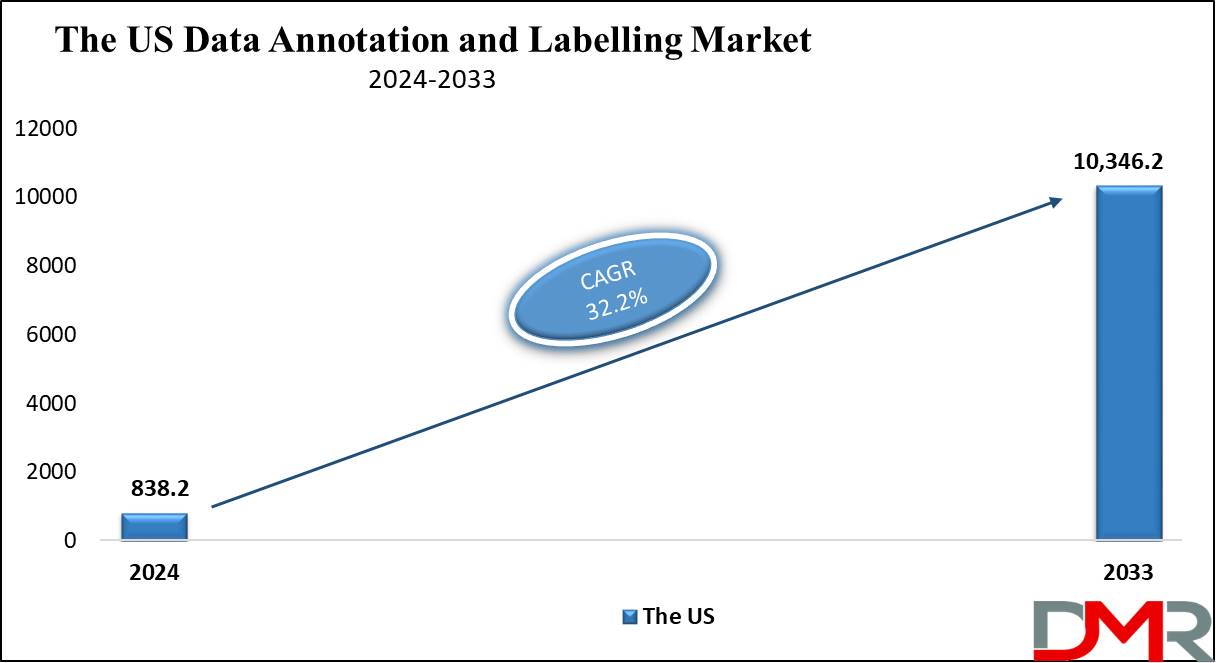 The US Data Annotation and Labelling Market Growth Analysis