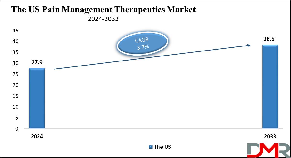 The US Pain Management Therapeutics Market Growth Analysis