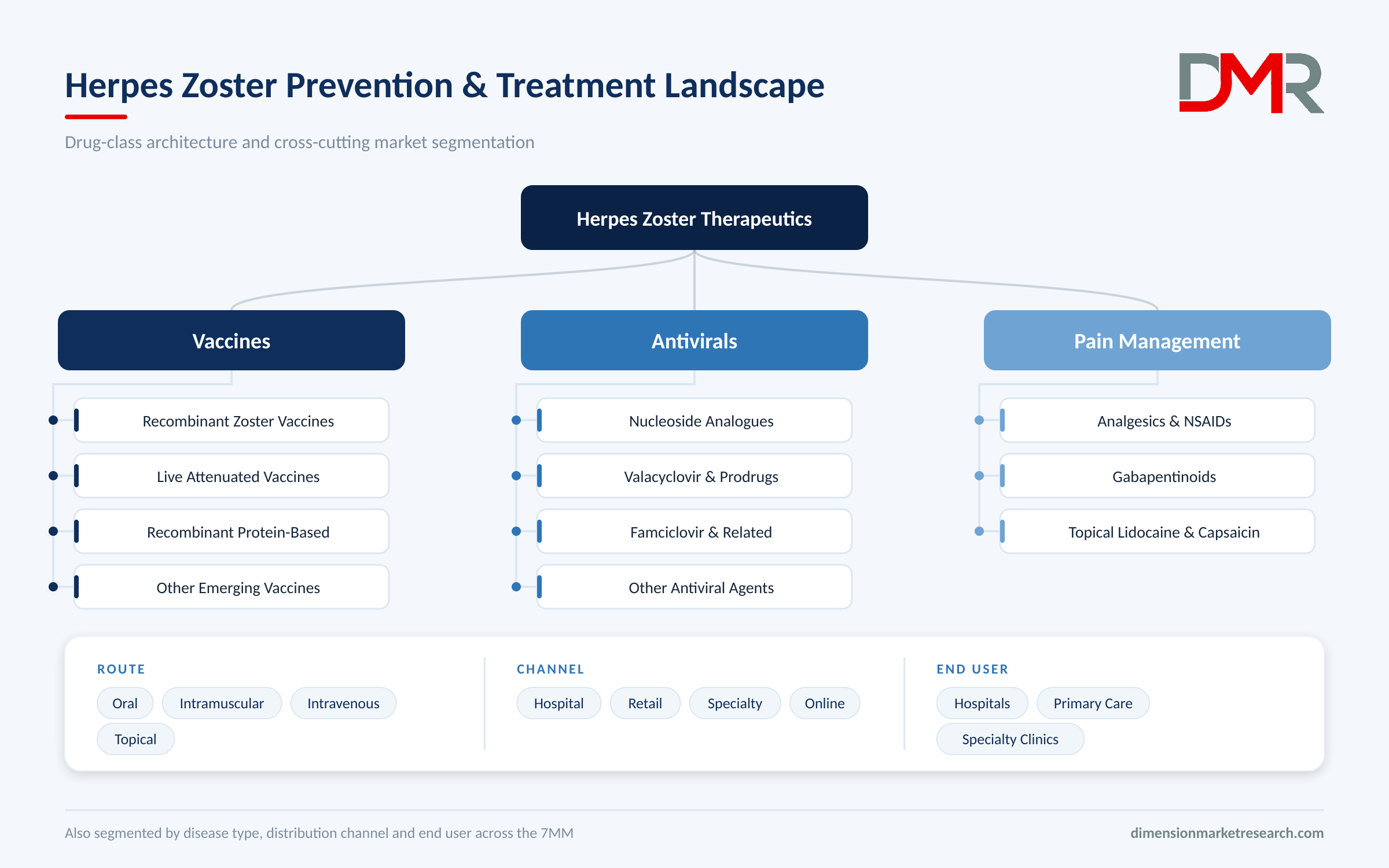 Herpes Zoster Treatment Landscape Segmentation