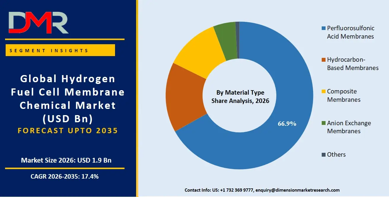 Hydrogen Fuel Cell Membrane Chemical Market By Material Type Share Analysis