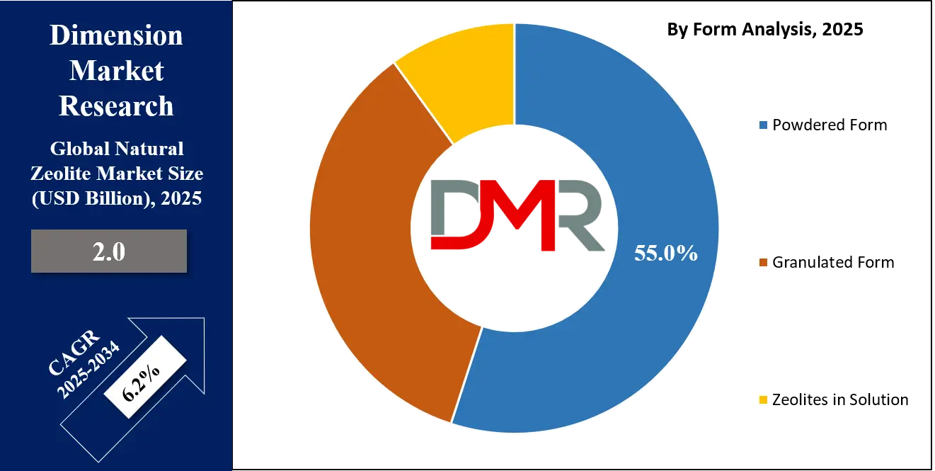 Natural Zeolite Market Form Analysis