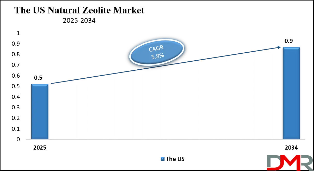 Natural Zeolite Market Us Growth Analysis
